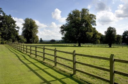 fence and field