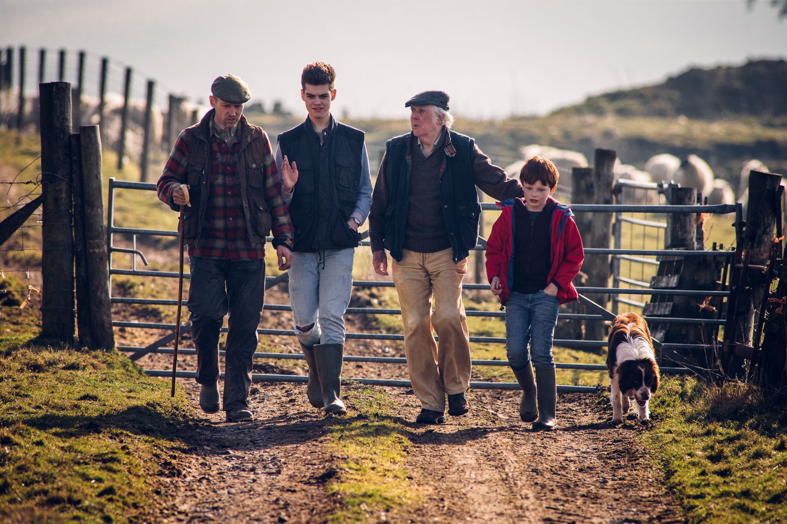 Succession planning: Ensuring the future of your farm