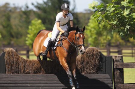 Sports sponsorship agreement for equestrian rider