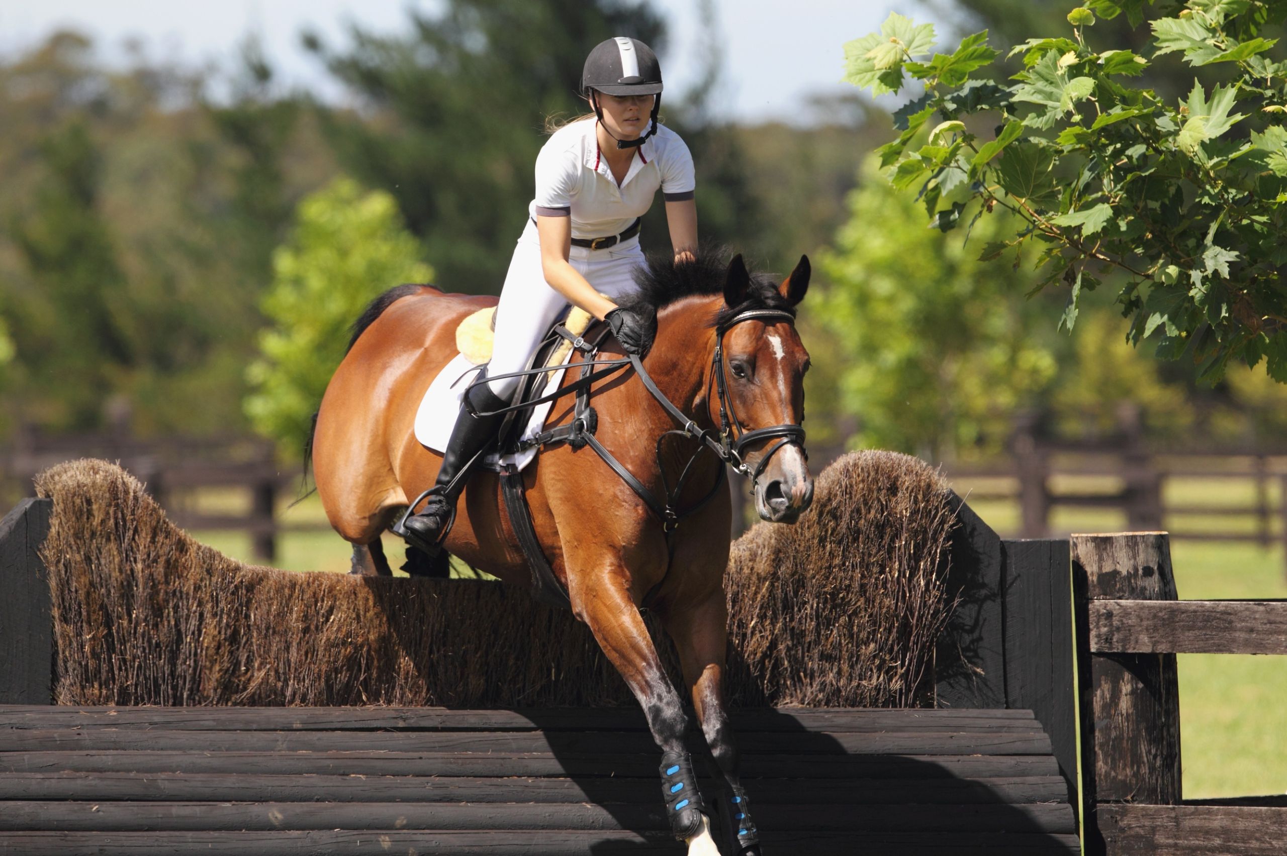 Sports Sponsorship Agreements: What Equestrians Need to Know