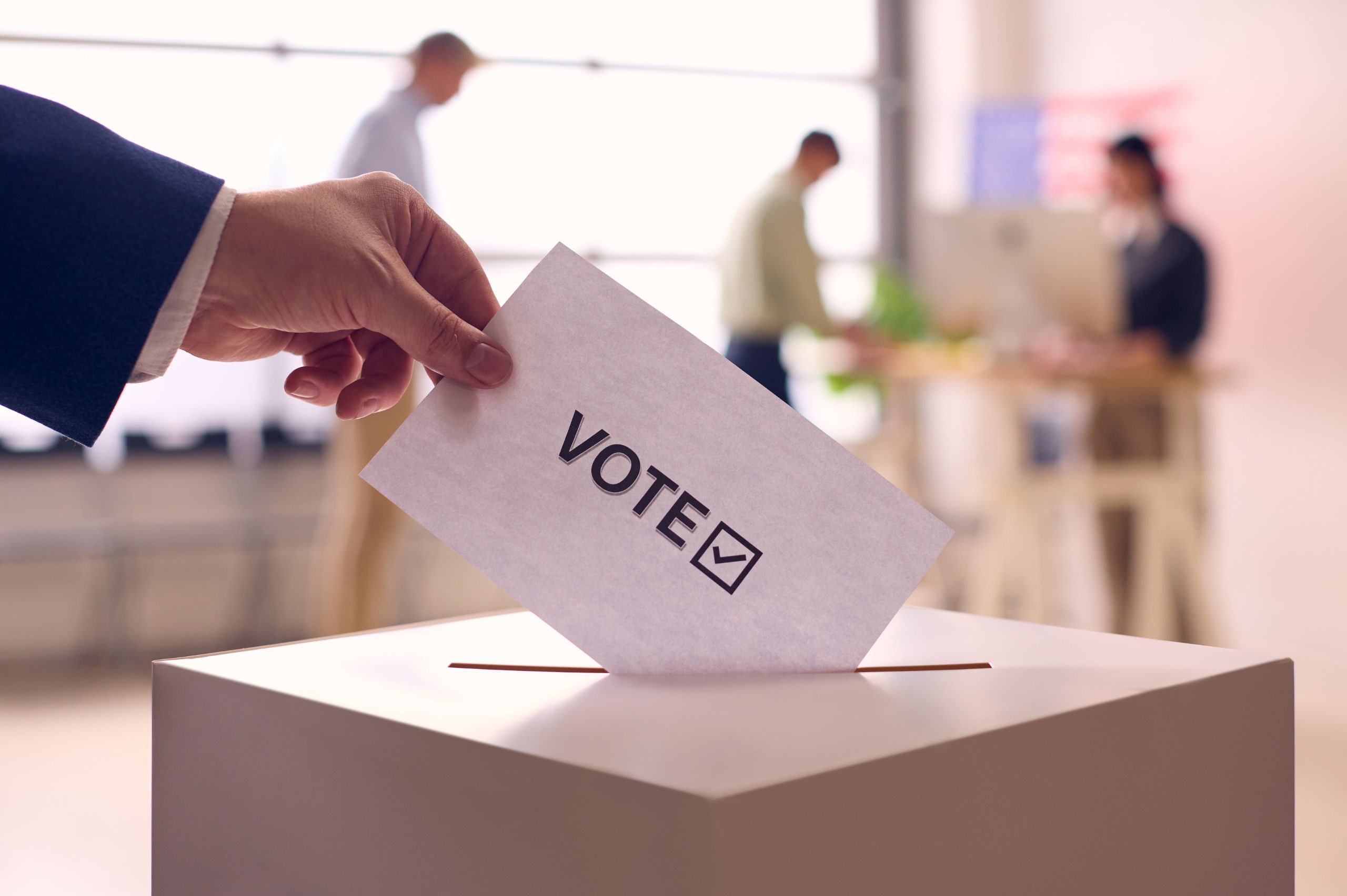 A New Way to Vote: Trade Union Ballots and Elections